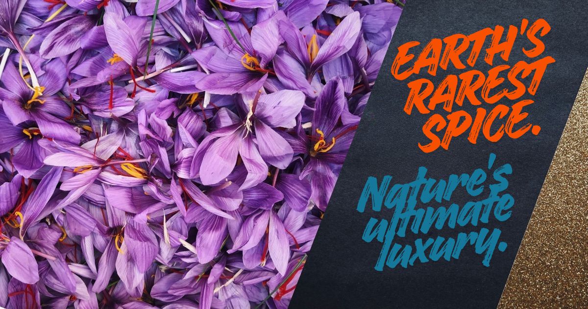 Indulge in the unmatched aroma, vibrant color, and rich flavor of our ultra-premium, ethically sourced Grade A saffron. Elevate your culinary masterpieces today.